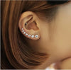 Shiny Silver Stud Stone Set Earrings For Women
