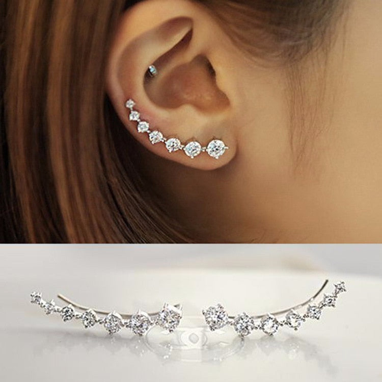 Shiny Silver Stud Stone Fitted Set Earrings For Women - FRANDELS